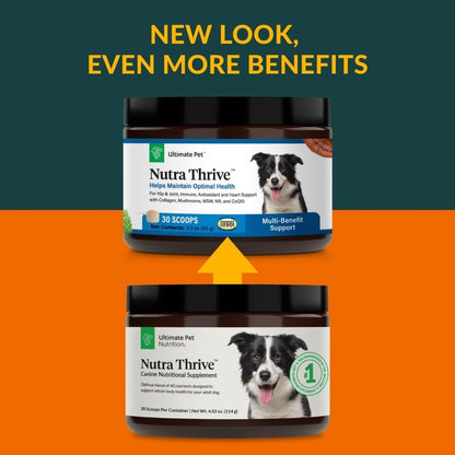 Ultimate Pet Nutrition Nutra Thrive Canine, 40-in-1 Nutritional Powder Supplement for Dogs with