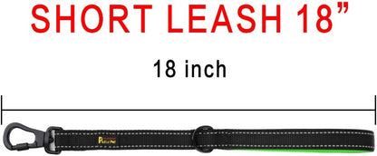 PLUTUS PET Short Training Dog Leash with Padded Handle for Medium Large Big Dogs,18 Inch Heavy Duty
