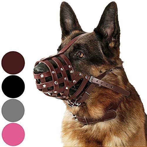 CollarDirect Dog Muzzle German Shepherd Dalmatian Doberman Setter Leather Basket Medium Large
