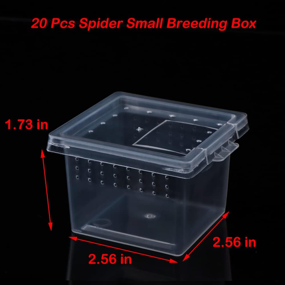 20 Pcs Spider Terrariums Breeding Box Hatching Container Acrylic Feeding Box for Small Reptile