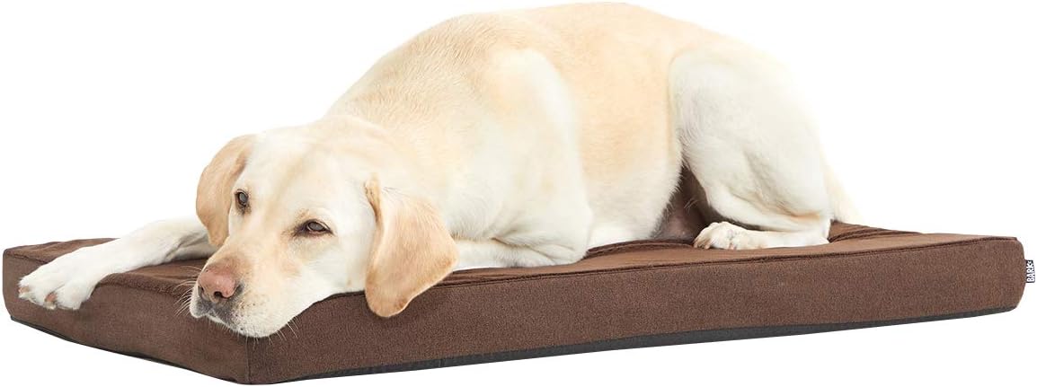 Barkbox Orthopedic Dog Bed with Memory Foam, Premium Comfort for Dogs and Puppies, Dog Bed for