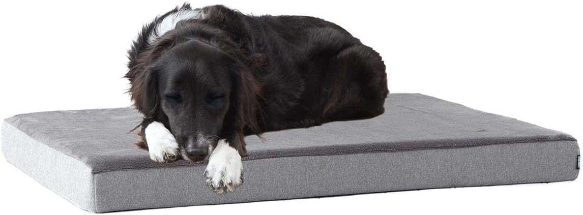 Barkbox Orthopedic Dog Bed with Memory Foam, Premium Comfort for Dogs and Puppies, Large Sized Dog