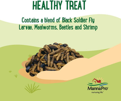 Manna Pro Farmhouse Favorites Quirky Quatro Crunch – 100% Natural Protein Treat for Mixed Flocks