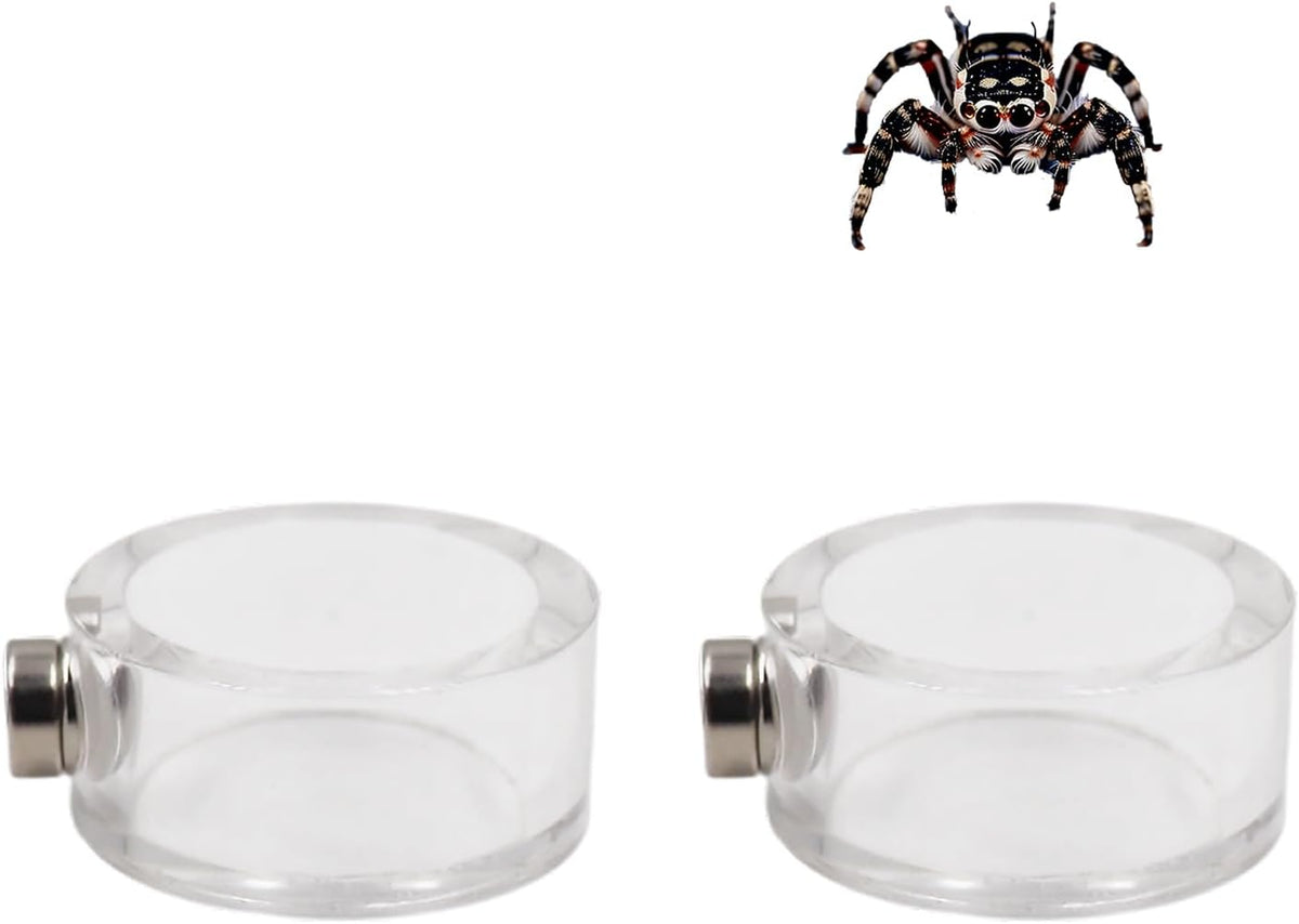 2 Pack Jumping Spider Enclosure Accessories, Leak-Proof Jumping Spider Feeding Dish with Magnet