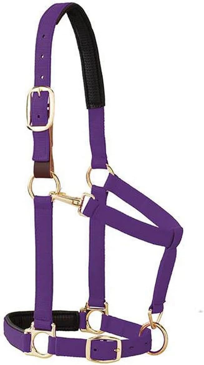 Weaver Equine Breakaway Horse Halter, Comfort Foam Padding, Adjustable Chin & Throat Snap Halters