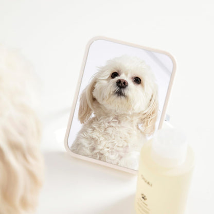OUAI Fur Bébé Pet Shampoo, Mercer Street Scent - Dog Shampoo and Coat Wash for Hydrating, Cleansing