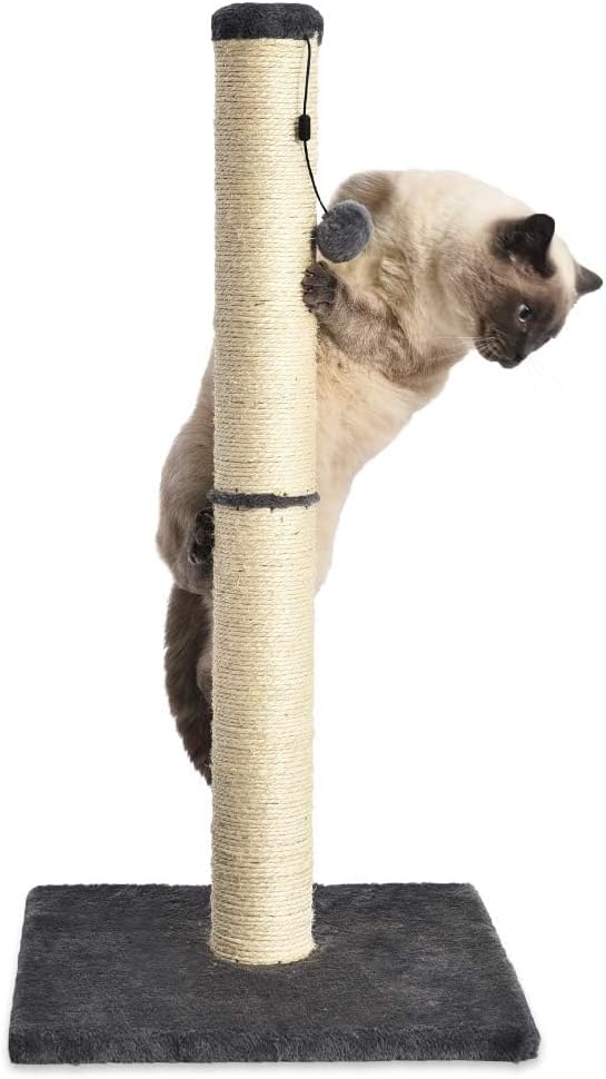 Amazon Basics Cat Scratcher - Indoor Classic Single Cat & Kittens Scratching Post, Medium (31.5"H)