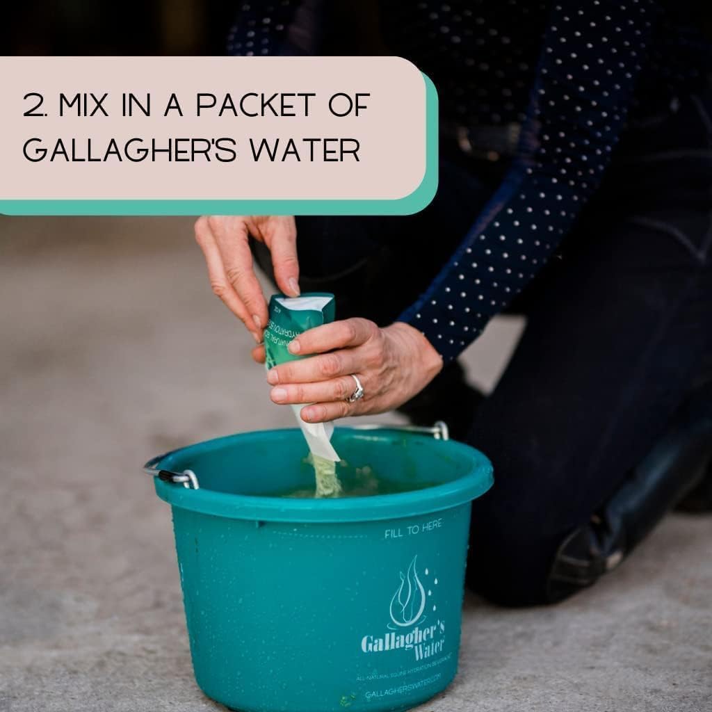 Gallagher's Water 12 Pack All-Natural Equine Hydration Treat - Enhancement Powder Mix Horse Drink