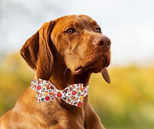 Lionet Paws Thanksgiving Dog Collar, Cute Fall Dog Collar for Medium Dogs, Adjustable Cotton Pet