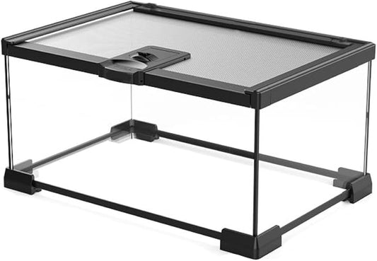 Mini Reptile Glass Terrarium Tank, cage for Tarantula Sling Geckos, Frog, Lizards