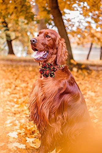 Unique style paws Fall Dog Collar with Bow, Puppy Collar Pet Gift Adjustable Dog Collar Soft and