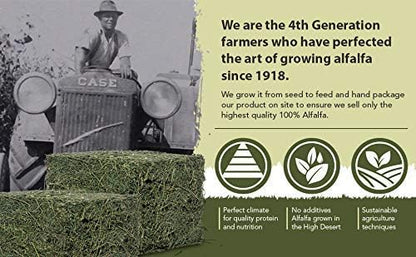 High Desert Alfalfa Hay for Rabbits, Guinea Pigs, Chinchillas & Small Pets – Protein-Rich Natural