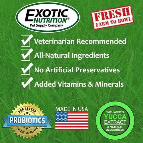 Berries & Bugs (10 lb.) - All Natural High Protein High Fiber Insectivore Diet with Fruit