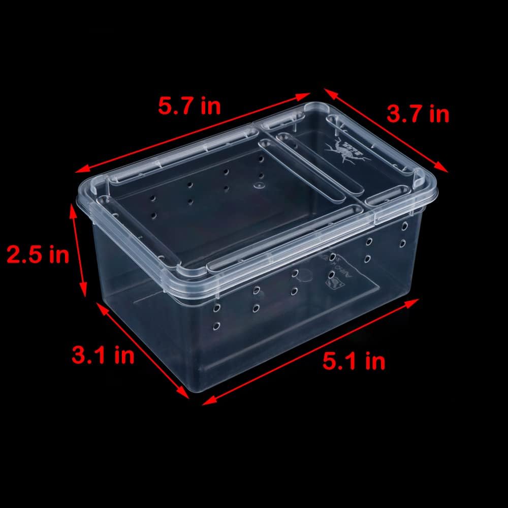 5 Pcs Spider Small Terrariums Breeding Box Transparent Hatching Container Plastic Feeding Box for