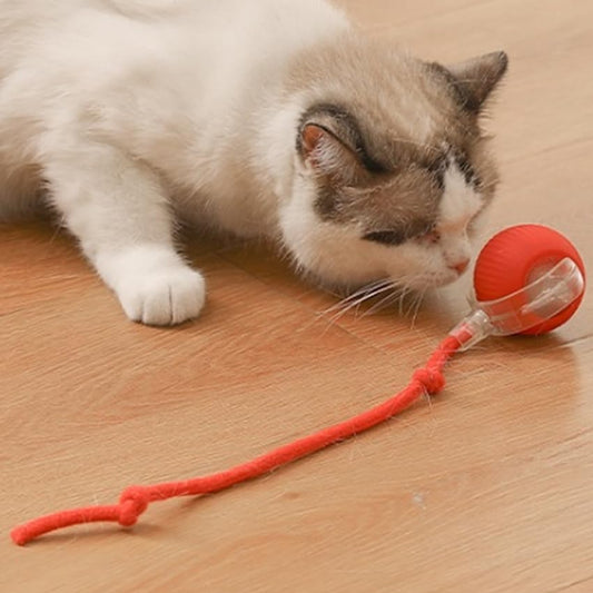Cat Toy Ball with Tail Rope, Smart Rolling Ball, LED Light, Electric Self-Rolling Pet Toy
