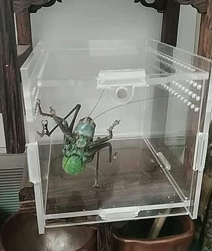 Magnetic Acrylic Case, micro habitat small Tarantula Enclosure enclosure for arboreal Tarantula