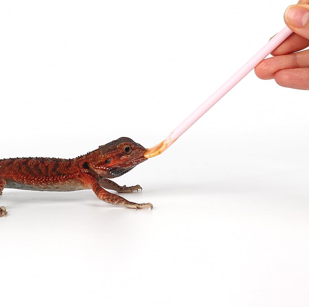 2Pcs Reptile Powder Fruit Mixing Stirring Food Feeding Spoon fit Crested Gecko Gargoyle Bearded