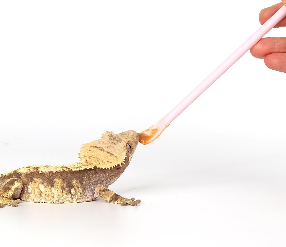 2Pcs Reptile Powder Fruit Mixing Stirring Food Feeding Spoon fit Crested Gecko Gargoyle Bearded