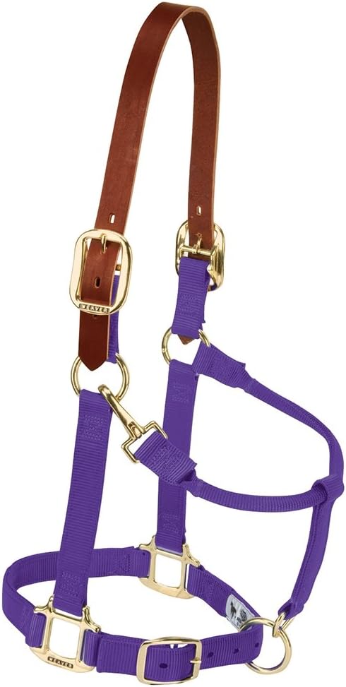 Weaver Equine Breakaway Horse Halter, Supple Leather Crown, Adjustable Chin & Throat Snap Halters