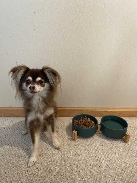 SPUNKYJUNKY Ceramic Dog and Cat Bowl with Wood Stand Non-Slip Matte Glaze Weighted Food Water Set