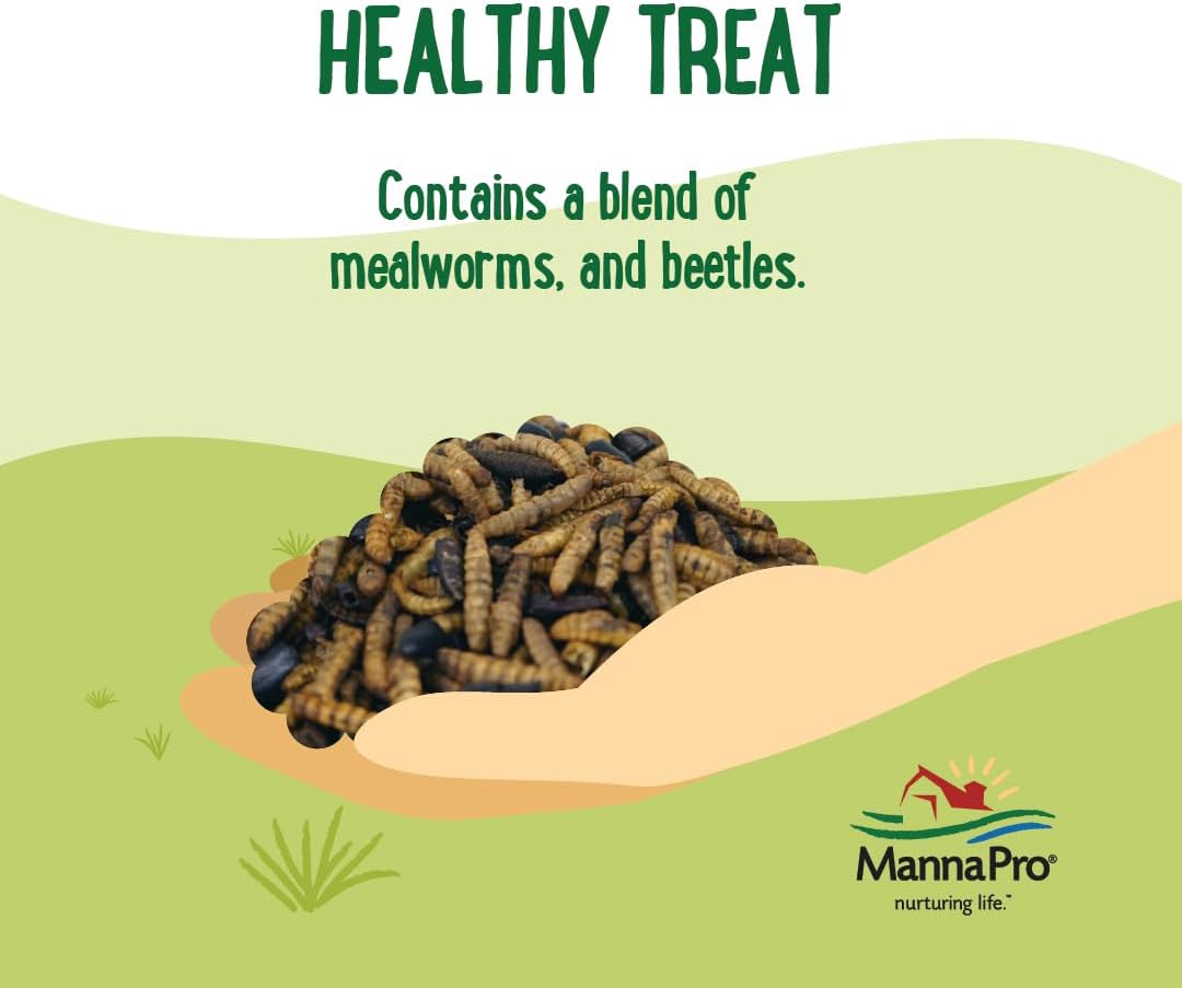 Manna Pro Farmhouse Favorites Beetle Bliss Poultry Treat – Blend of Mealworms and Beetles – All