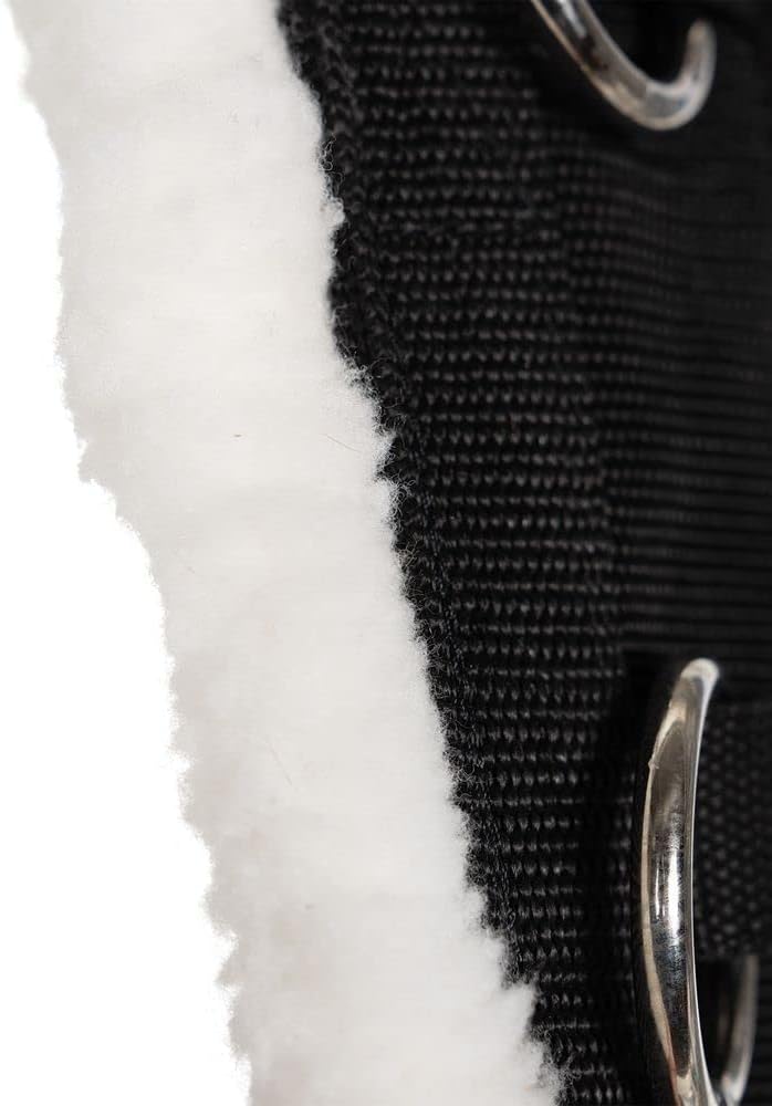 Dura-Tech Fleece Lined Training Surcingle for Horses | Essential for Lunging Work | Comfortable
