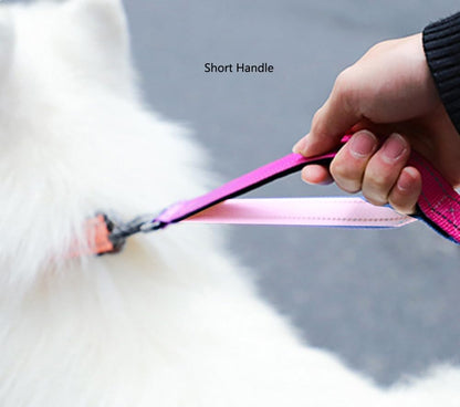 Hands Free Dog Leash for Large Medium Dogs Heavy Duty Bungee Reflective Adjustable Waist Leashes