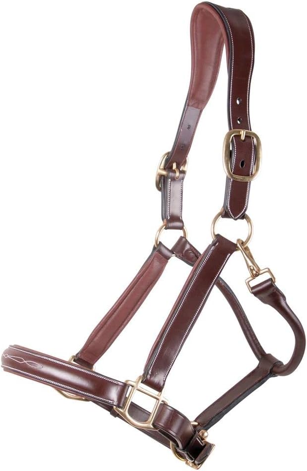 Joseph Sterling Comfort Crown Leather Halter for Horses | Memory Foam Interior for Comfort |