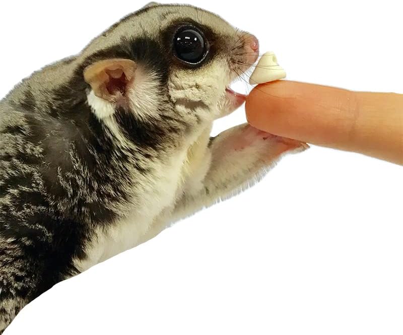 Yogu Drops With Blueberry - Healthy Natural Fruit & Yogurt Treat - For Sugar Gliders, Rats