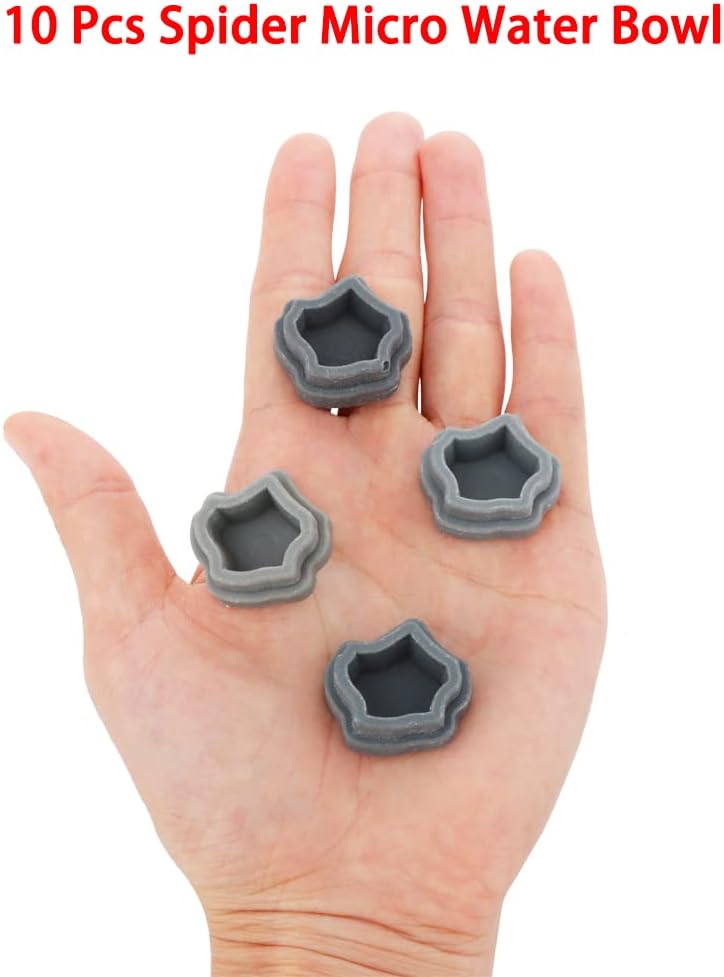 10 Pack Small Size Spider Terrariums Breeding Box Hatching Container Insect Scorpion Centipede