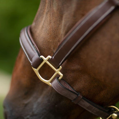 Joseph Sterling Comfort Crown Leather Halter for Horses | Memory Foam Interior for Comfort |