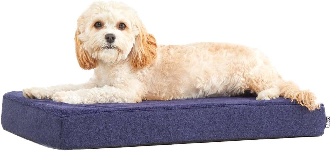 Barkbox Orthopedic Dog Bed | Comfortable Memory Foam Mattress for Joint Relief | Head and Neck