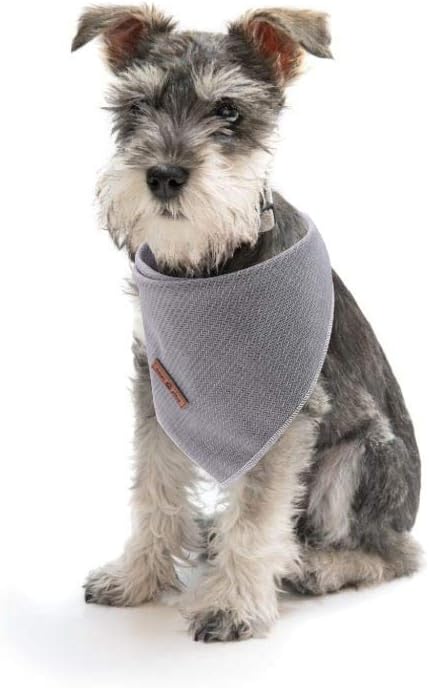 Lionet Paws Dog Bandana for Small Medium Large Dogs, Cat Dogs Kerchief Triangle Bibs Scarf for Girl