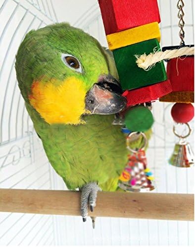 Hypeety Parrot Hanging Swing Bells Chew Toy Colorful Hanging Wood Block Natural Birds Toy for