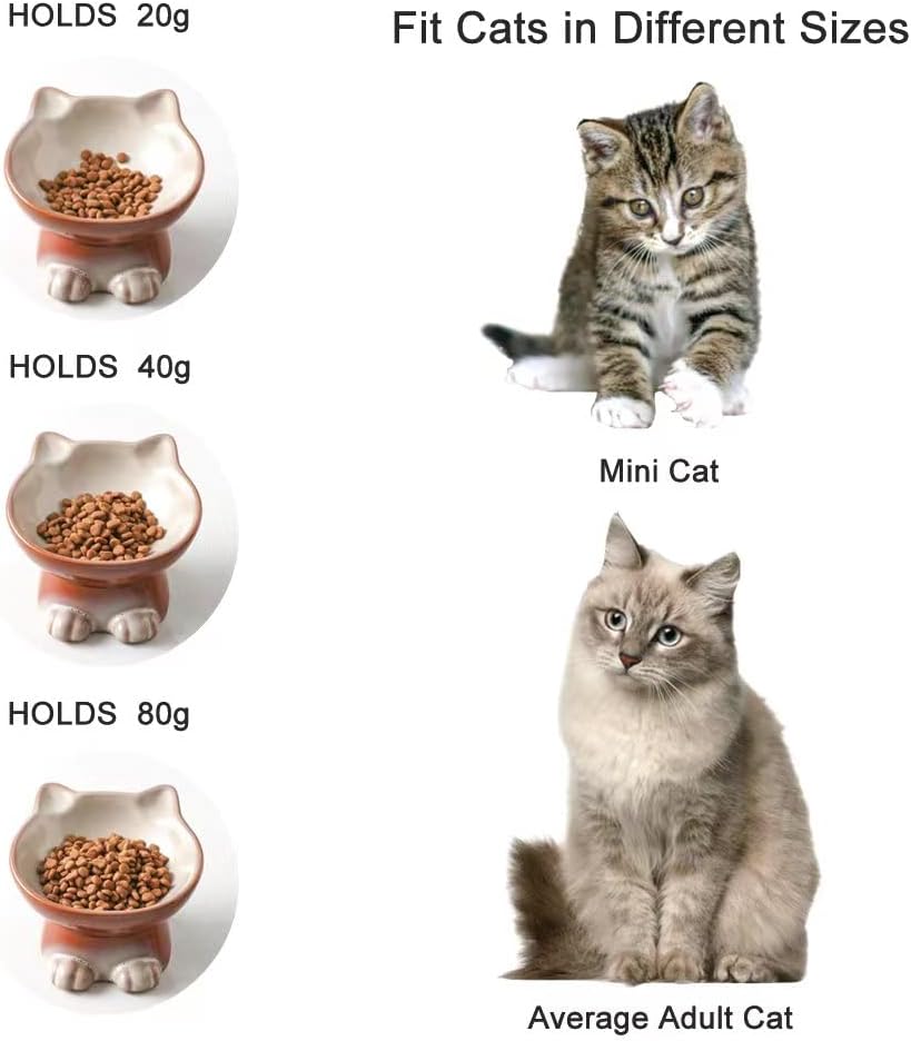 Nihow Elevated Cat/Dog Bowls Set : 5 Inch Ceramic Raised Cat Food & Water Bowl Set for Protecting