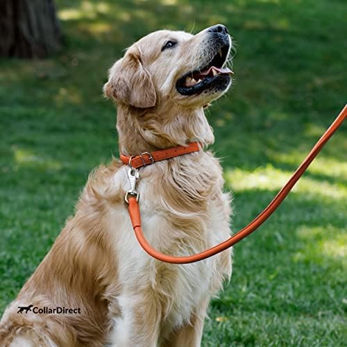 CollarDirect Rolled Leather Dog Collar, Soft Padded Round Puppy Collar, Handmade Genuine Leather