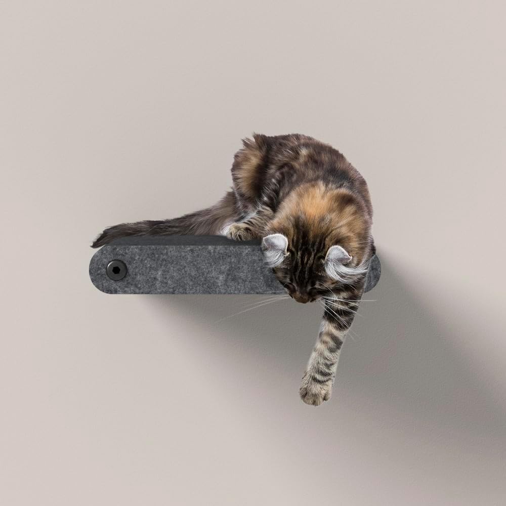 Wall Mounted Cat Steps Short Shelves (2) by Pryde Pets - Stairs for Walkways, 100% Sustainable PET
