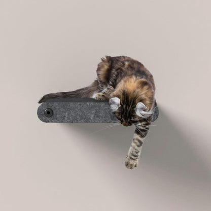 Wall Mounted Cat Steps Short Shelves (2) by Pryde Pets - Stairs for Walkways, 100% Sustainable PET