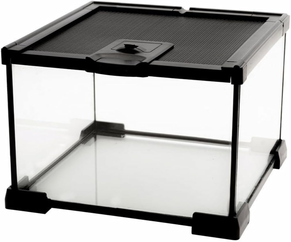 Mini Reptile Glass Terrarium Tank, cage for Tarantula Sling Geckos, Frog, Lizards