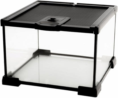 Mini Reptile Glass Terrarium Tank, cage for Tarantula Sling Geckos, Frog, Lizards