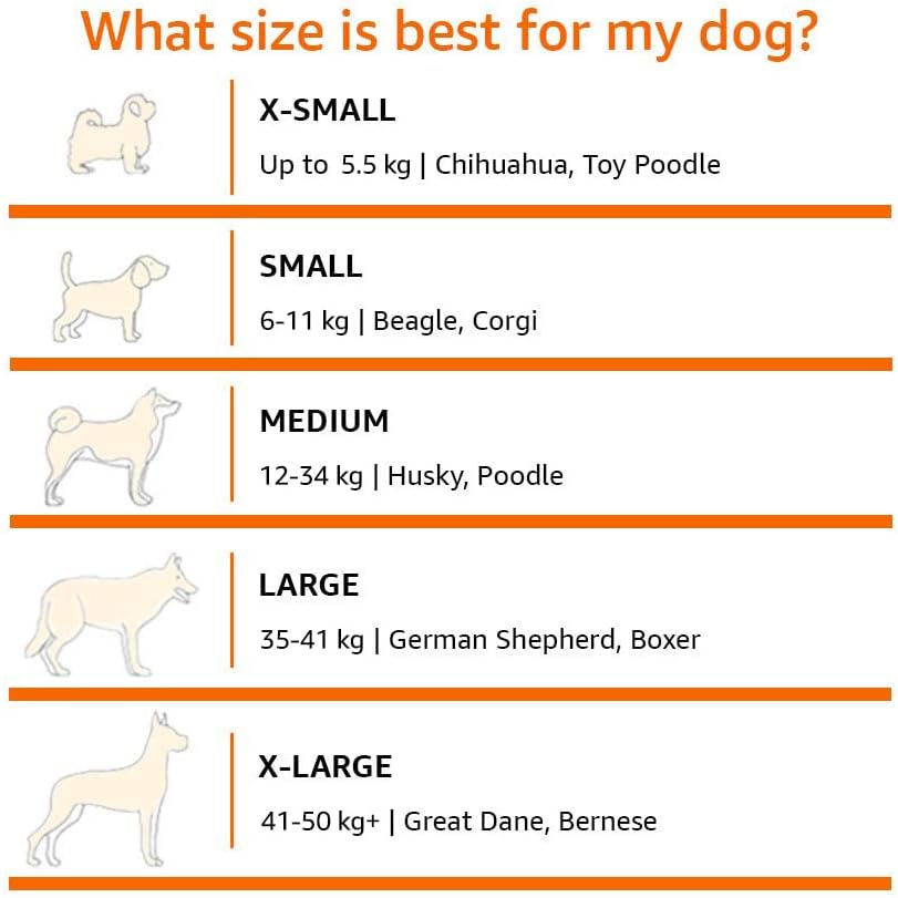 Amazon Basics Cooling Breathable Elevated Dog Bed with Metal Frame for Small Dogs, 36 x 22 x 7.5