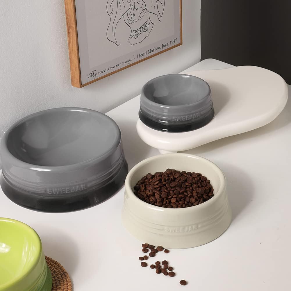 Sweejar Gradient Dog Bowl, Ceramic Dog Food Dish for Puppy and Kitten, Porcelain Pet Bowl for Food