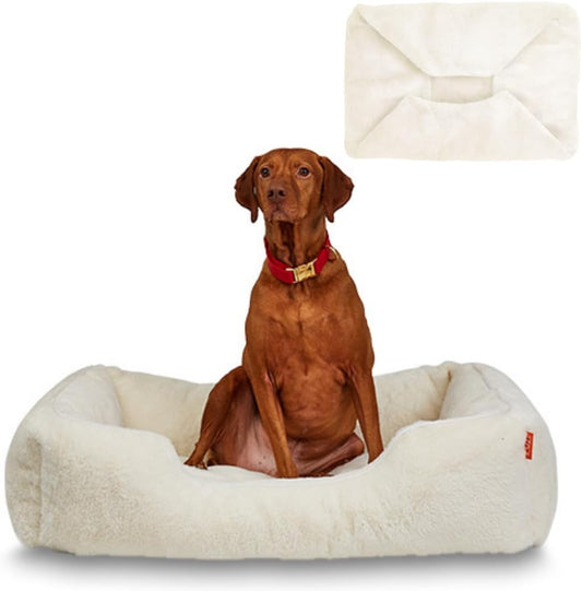 FUZI Luxury Aesthetic Dog Bed with Extra Cover for Medium Dogs, Washable Pet Couch, Pet Bed with