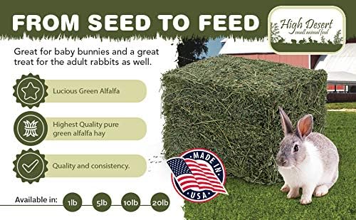 High Desert Alfalfa Hay for Rabbits, Guinea Pigs, Chinchillas & Small Pets – Protein-Rich Natural