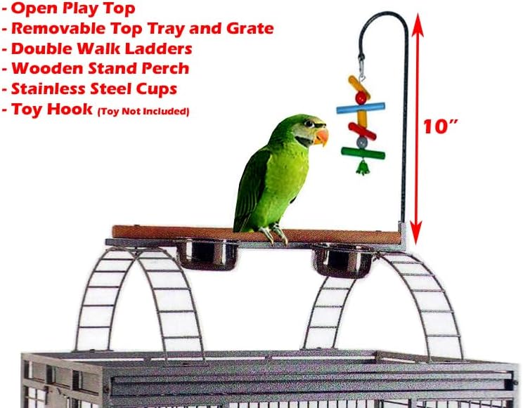 XX-Large 32" x 23" x 66"H Double Walk Ladders Open Play Top Wrought Iron Bird Parrot Parttot Finch