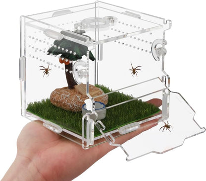 Reptile Terrarium,Tarantula Enclosure,Jumping Spider Enclosure for Tarantula Scorpion Sling Isopods