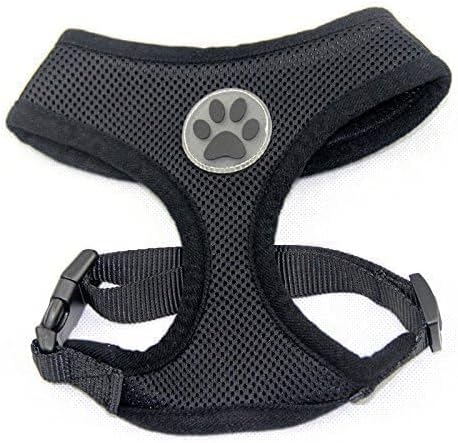 BINGPET Small Dog Harness - Breathable Mesh Puppy Cat Harnesses - No Pull Adjustable Dog Harness