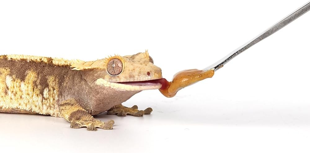 2Pcs Reptile Powder Fruit Mixing Stirring Food Feeding Spoon fit Crested Gecko Gargoyle Bearded