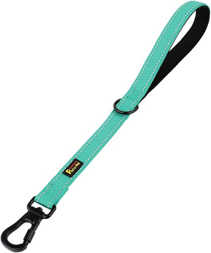 PLUTUS PET Short Training Dog Leash with Padded Handle for Medium Large Dogs,18 Inch Heavy Duty