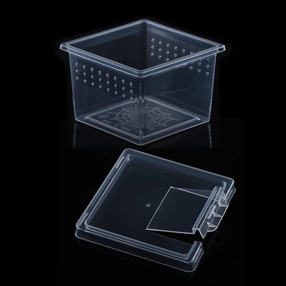10 Pcs Insect Spider Terrariums Breeding Box Hatching Container Small Reptile Scorpion Centipede